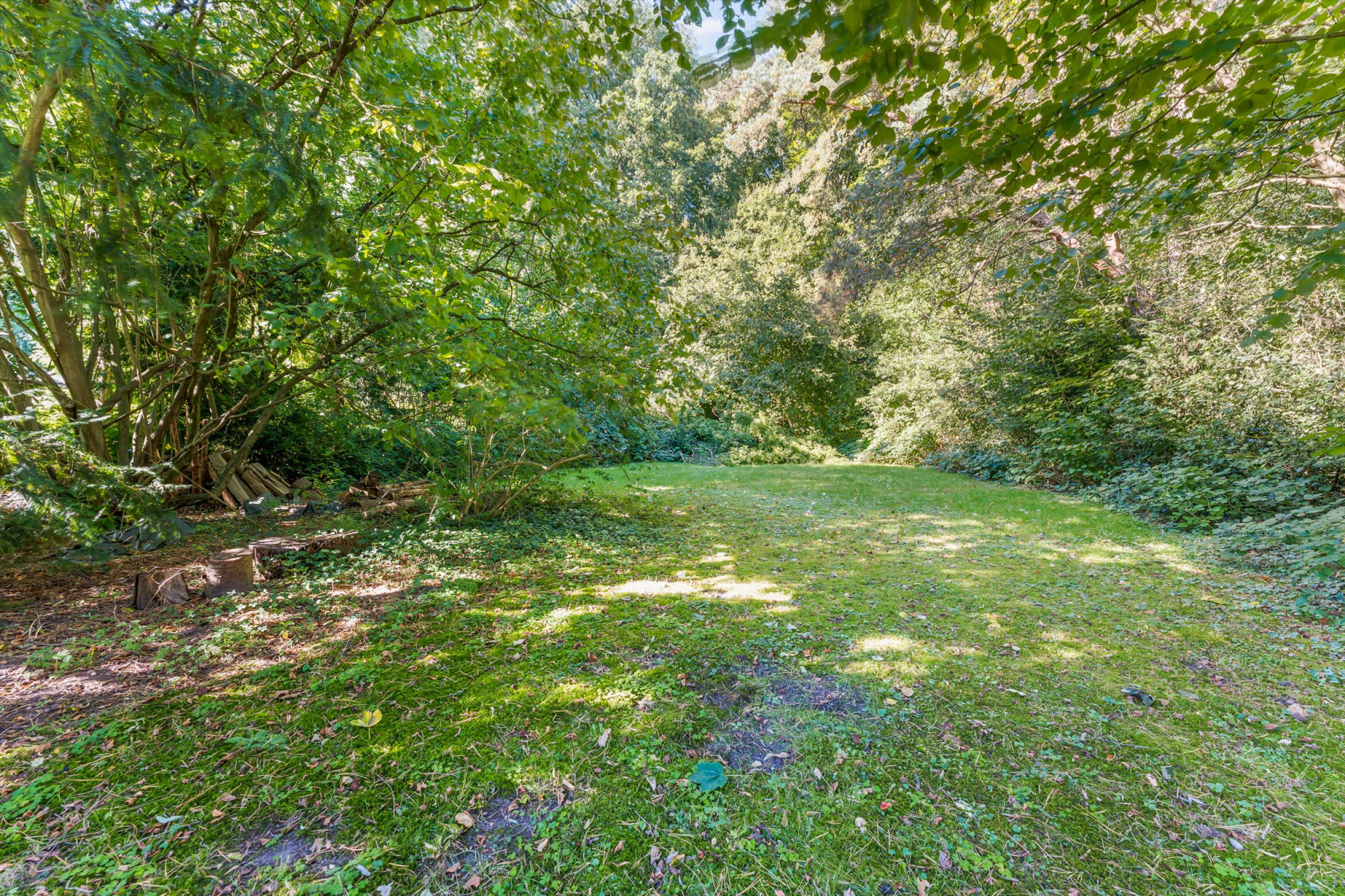 Leherheide - Modernes Einfamilienhaus in begehrter Lage - Gartenansicht